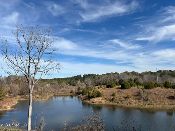 $1,165,500 | Fletchers Chapel Road, Bentonia, MS 39040