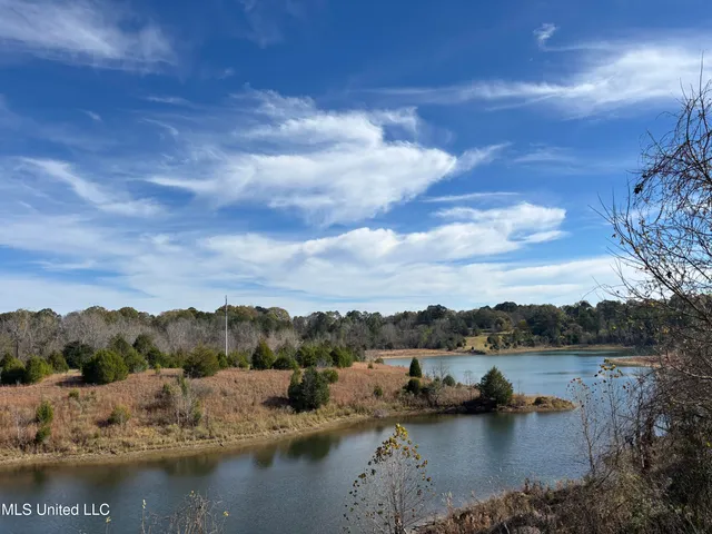 $1,165,500 | Fletchers Chapel Road, Bentonia, MS 39040