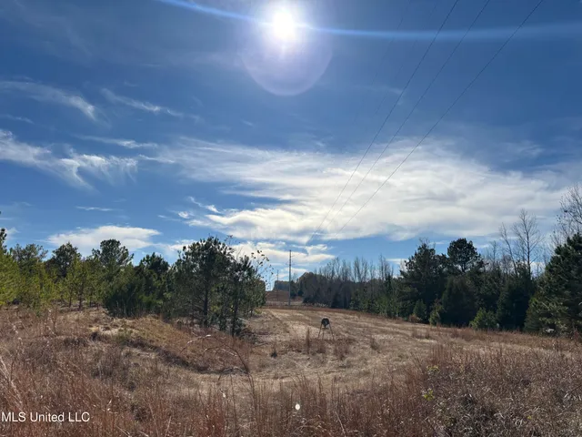 $1,165,500 | Fletchers Chapel Road, Bentonia, MS 39040