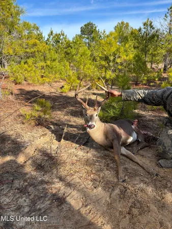 $1,165,500 | Fletchers Chapel Road, Bentonia, MS 39040