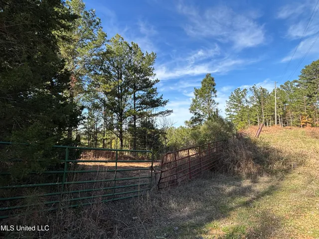 $1,165,500 | Fletchers Chapel Road, Bentonia, MS 39040