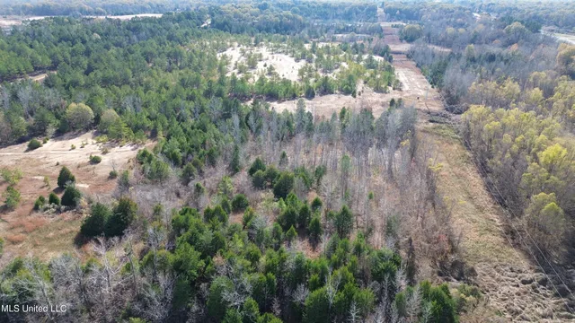 $1,165,500 | Fletchers Chapel Road, Bentonia, MS 39040