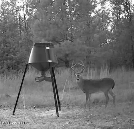 $1,165,500 | Fletchers Chapel Road, Bentonia, MS 39040