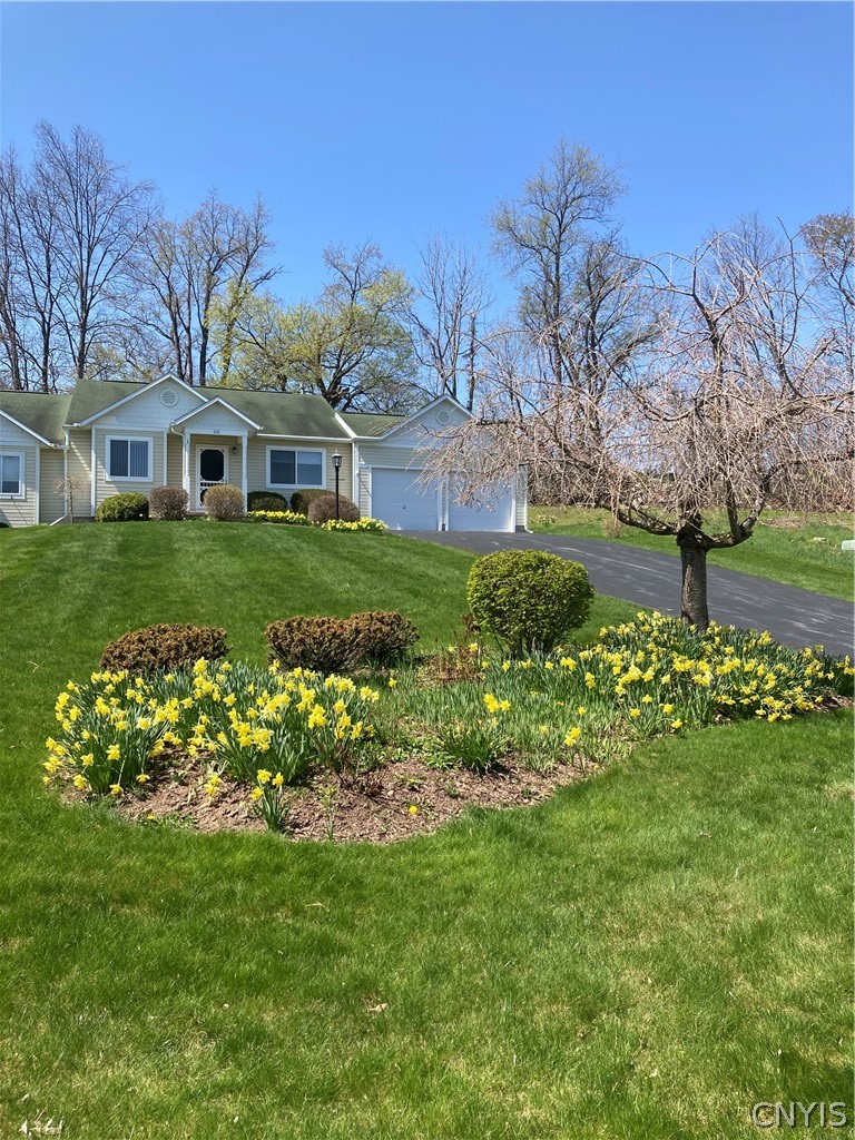 600 Timber Ridge Drive Camillus, NY 13031 - Photo 1 of 1 Gallery Image 1
