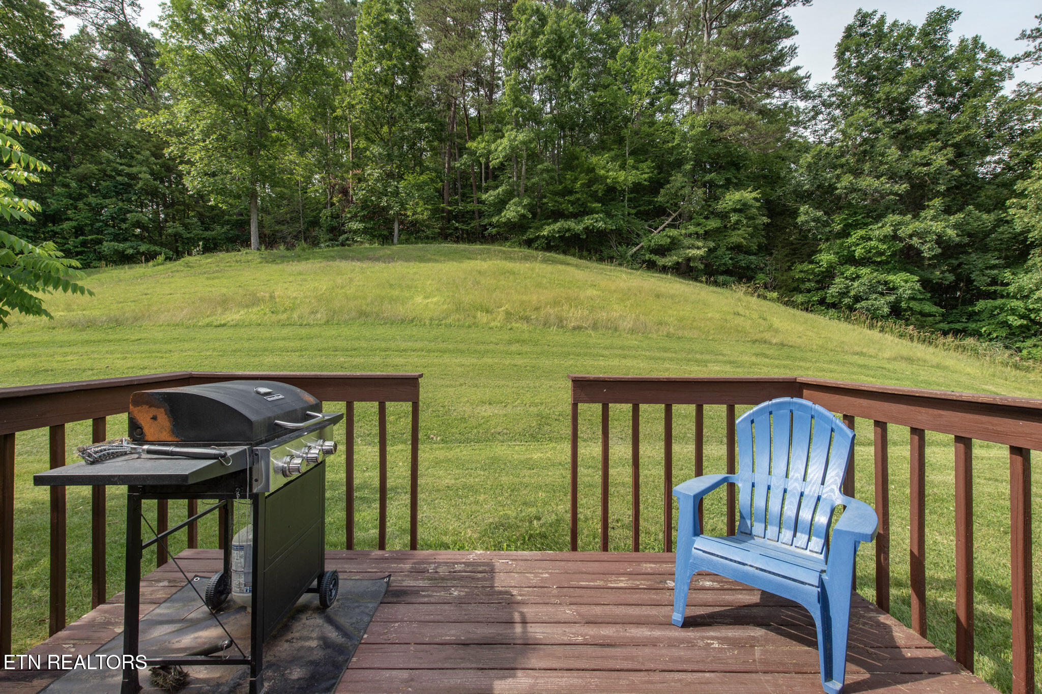 1315 McCarter Hollow Road Sevierville, TN 37862 - Photo 25 of 32 23-23_HIlltopHaven