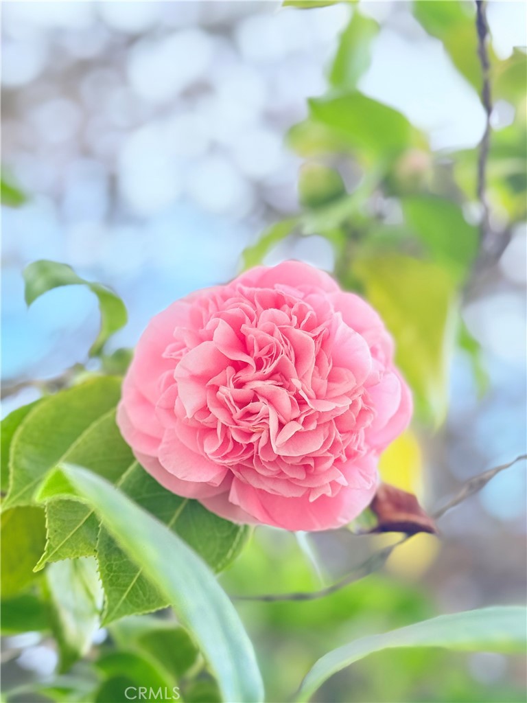 22141 Comanche Road Lake Forest, CA 92630 - Photo 40 of 50