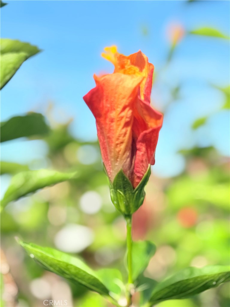 22141 Comanche Road Lake Forest, CA 92630 - Photo 43 of 50