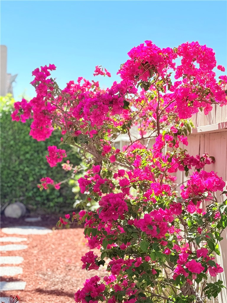 22141 Comanche Road Lake Forest, CA 92630 - Photo 45 of 50