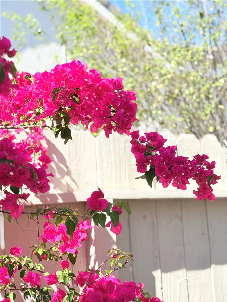 22141 Comanche Road Lake Forest, CA 92630 - Photo 46 of 50