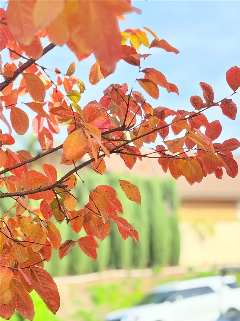 22141 Comanche Road Lake Forest, CA 92630 - Photo 48 of 50