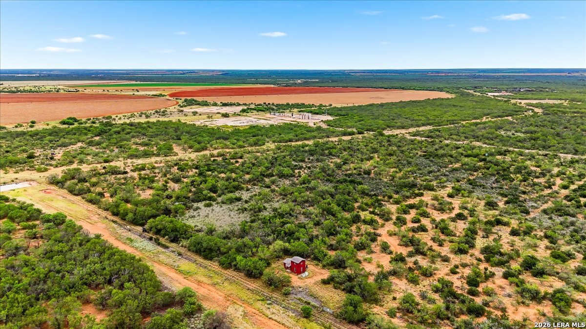 0 Carroll Road Dilley, TX 78017 - Photo 4 of 23 Gallery Image 4