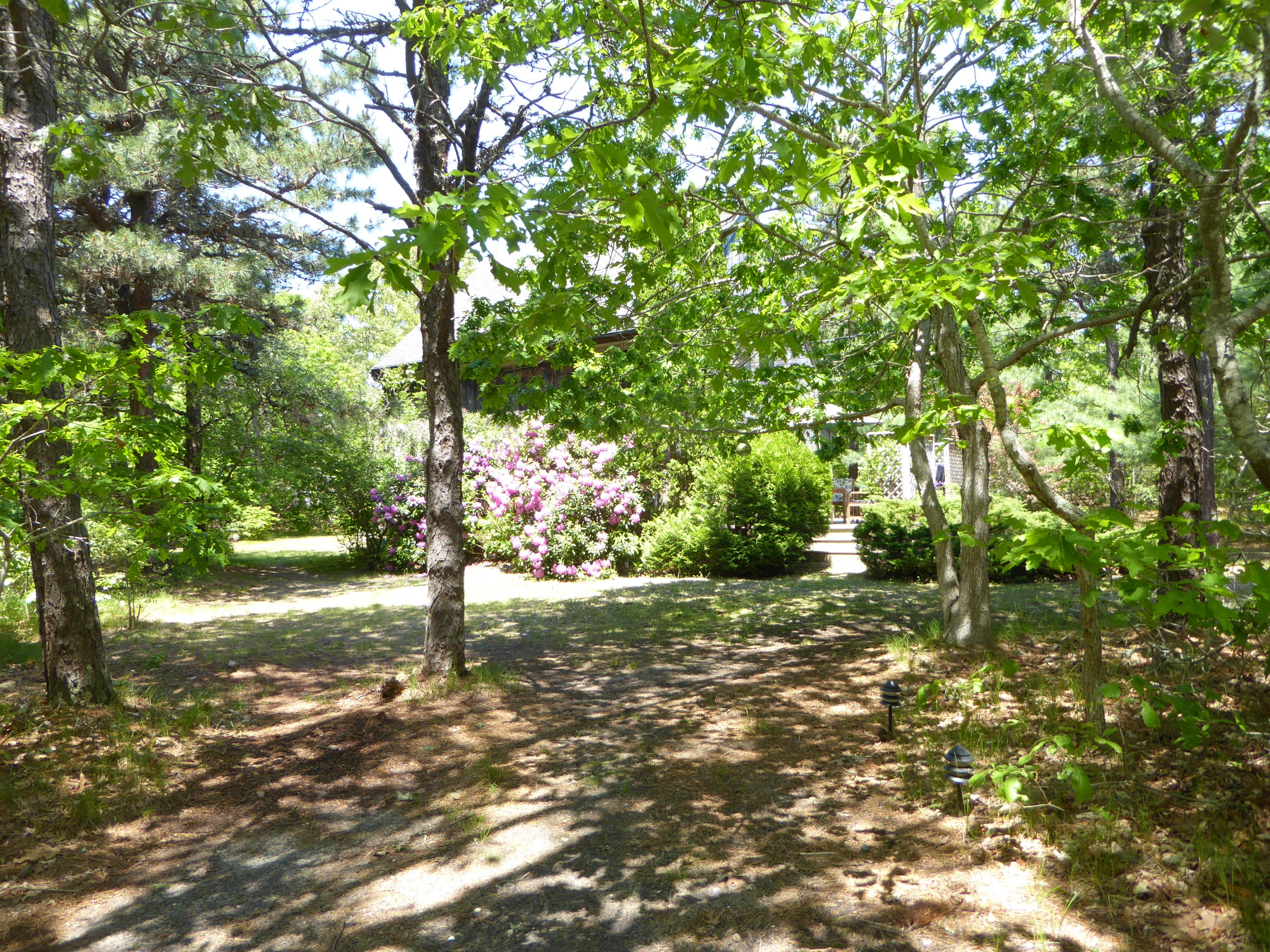 115 Asa's Road Eastham, MA 02642 - Photo 29 of 35 P1010479