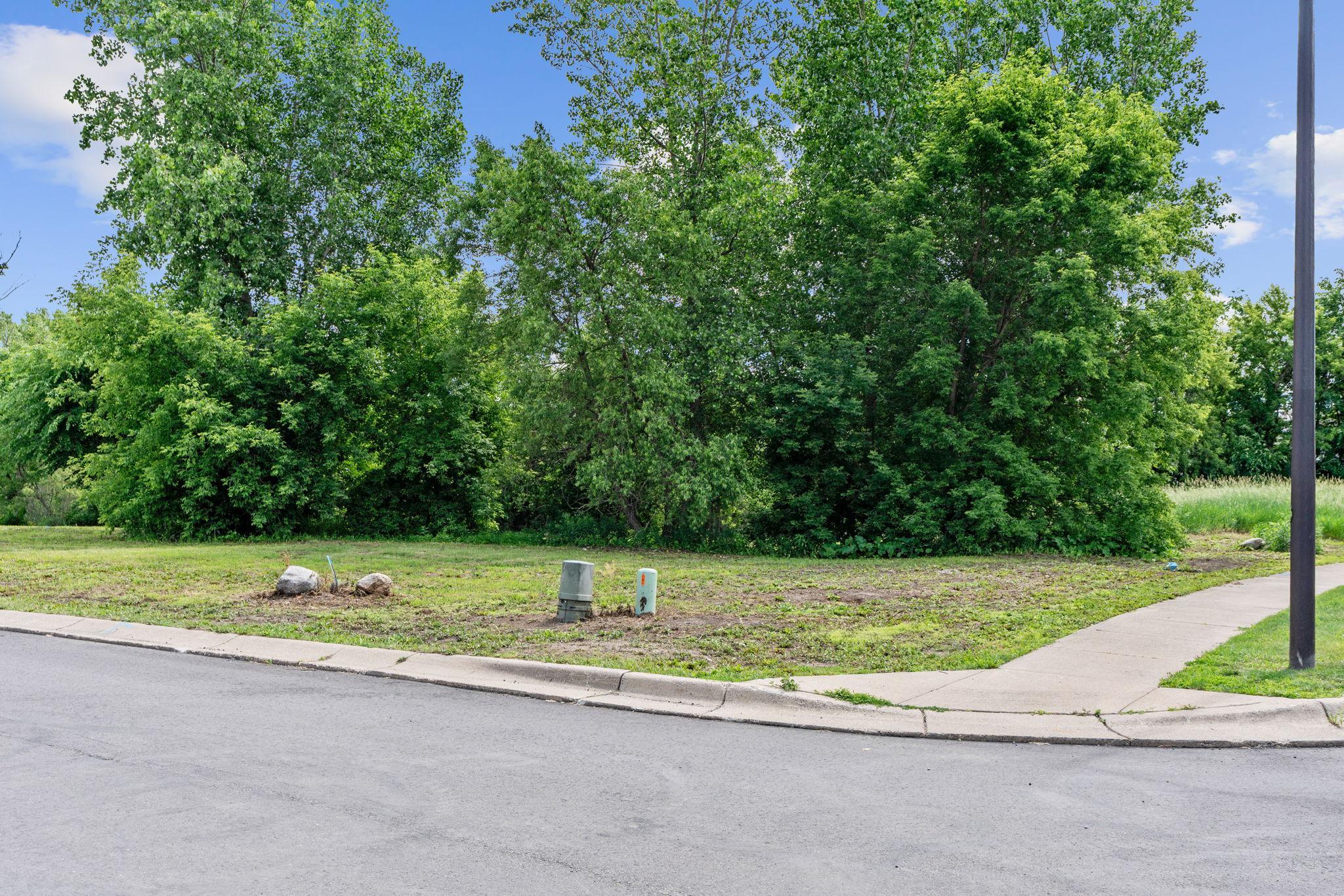7635 Red Fox Terrace Greenfield, MN 55373 - Photo 4 of 22