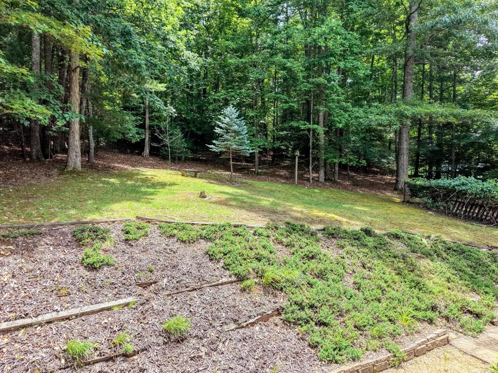 2930 Hicks Gap Road Blairsville, GA 30512 - Photo 56 of 64
