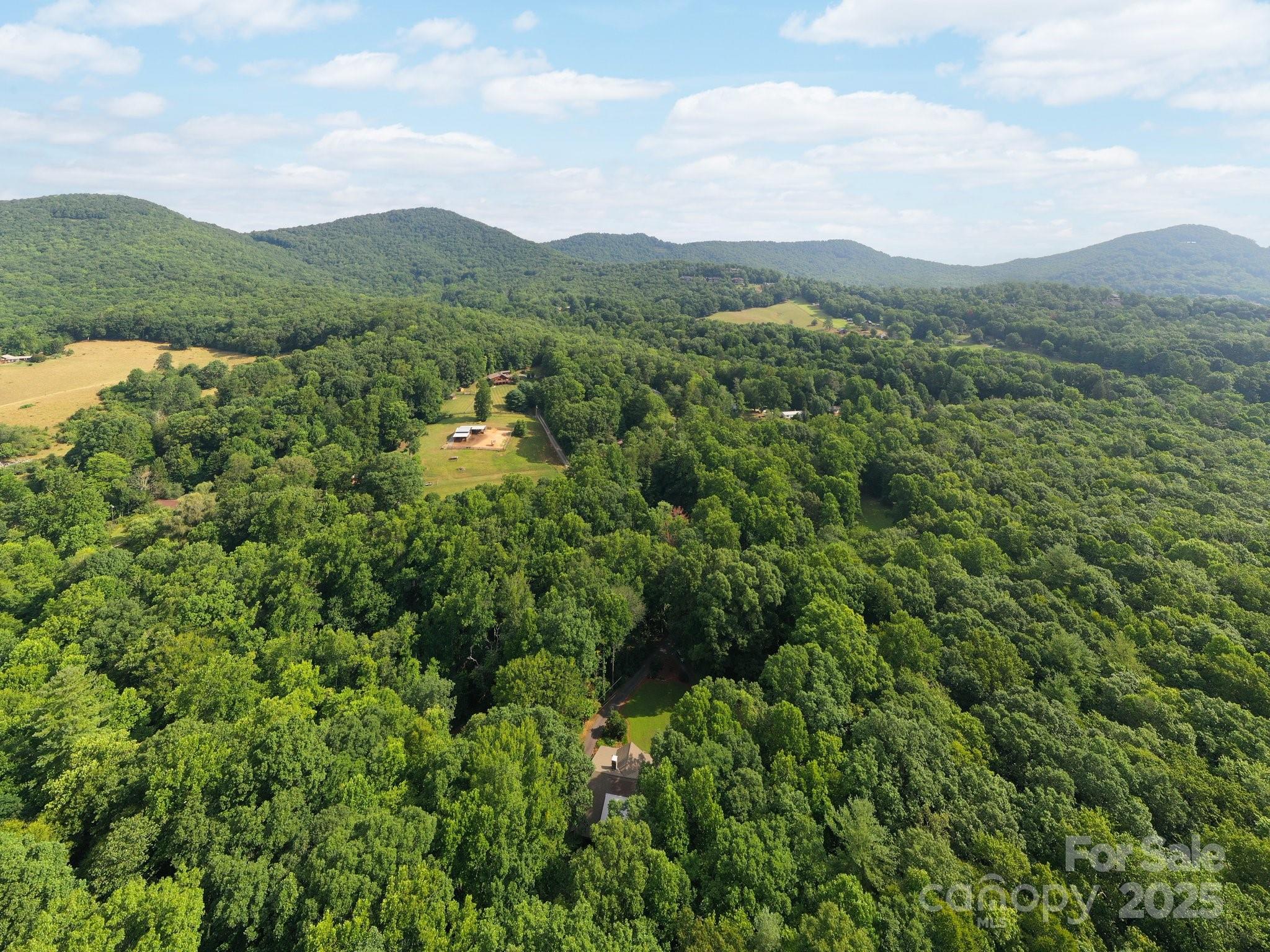 552 Averys Crk Road Arden, NC 28704 - Photo 2 of 48 a view of a mountain in the distance in a field