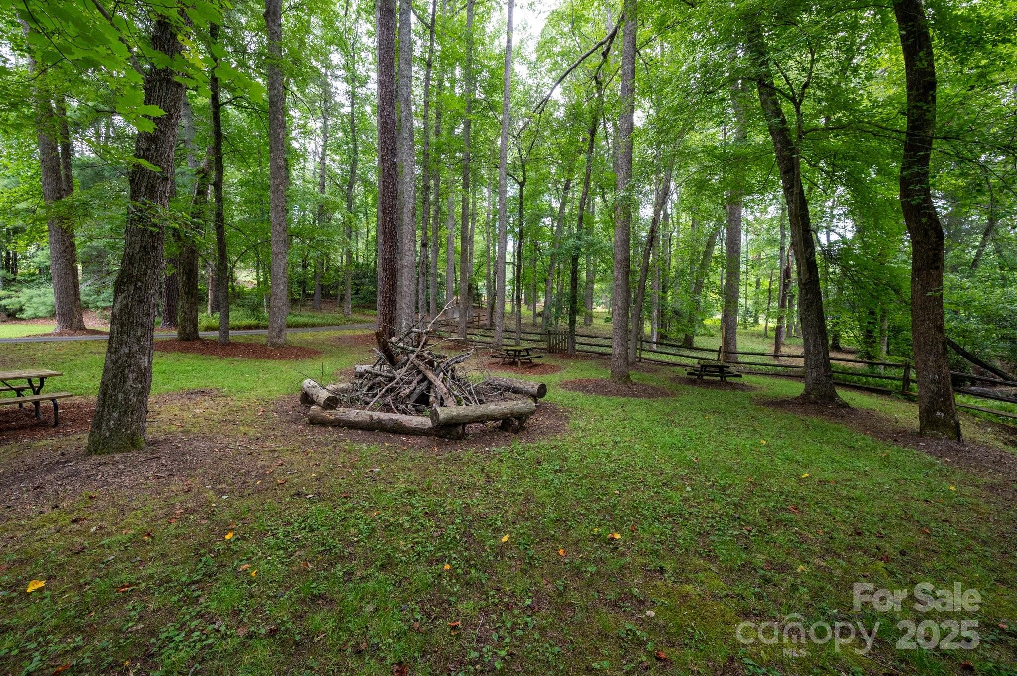 552 Averys Crk Road Arden, NC 28704 - Photo 44 of 48 a view of a park with large trees