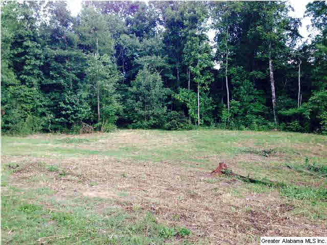 2615 6 Foot Road Ohatchee, AL 36271 - Photo 12 of 22