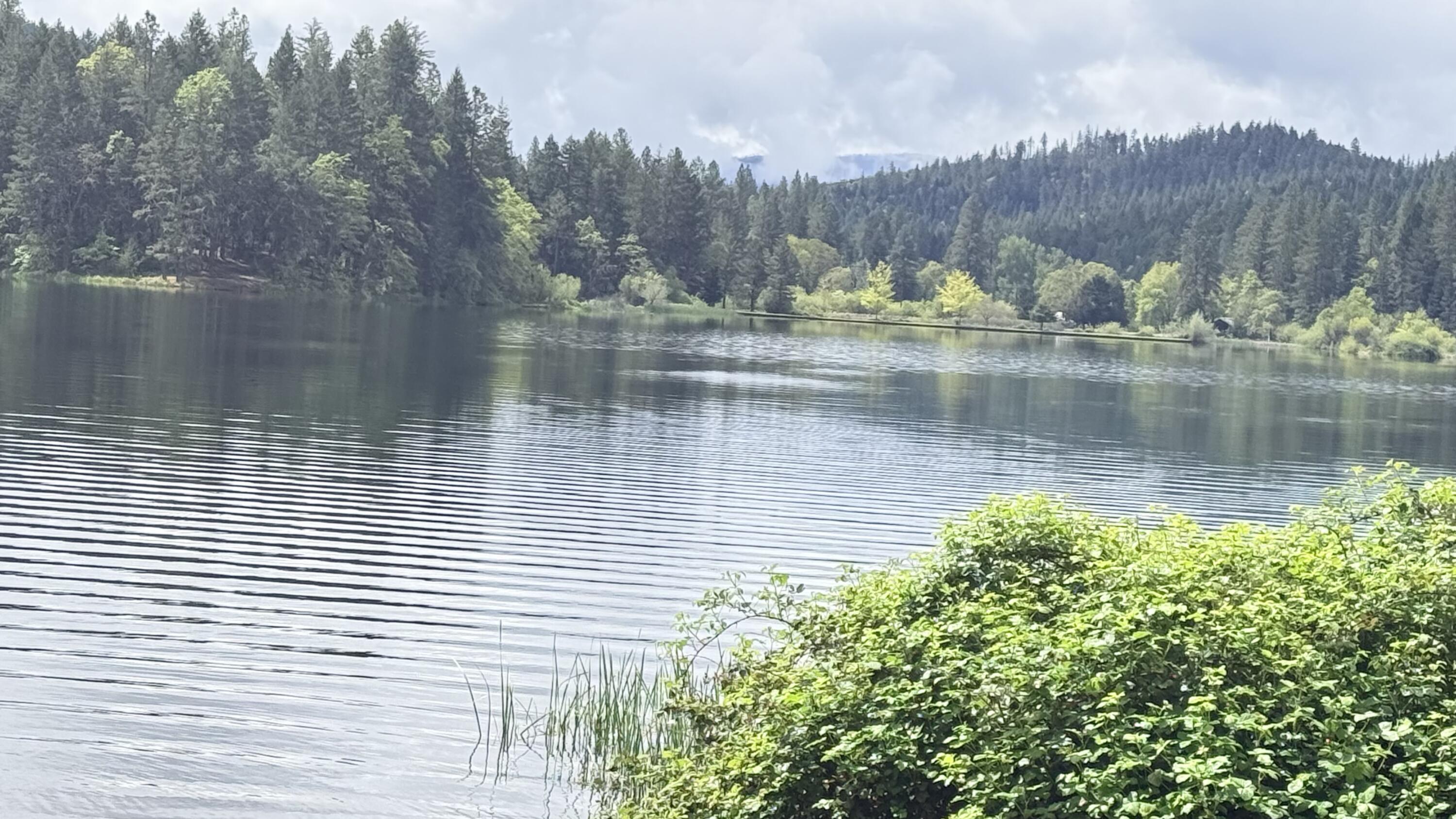 5445 Thompson Creek Road Selma, OR 97538 - Photo 56 of 57 a view of a lake view