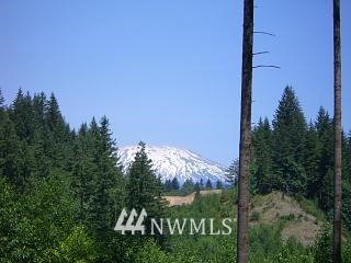 200 Shady Crk Road Amboy, WA 98601 - Photo 1 of 11 Gallery Image 1