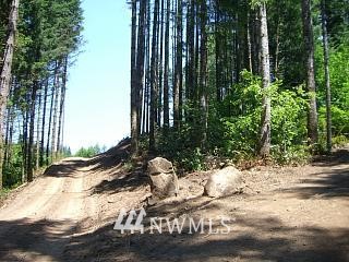 200 Shady Crk Road Amboy, WA 98601 - Photo 2 of 11 Gallery Image 2