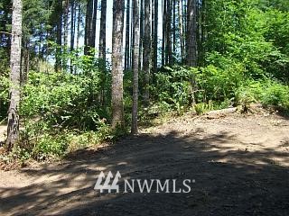 200 Shady Crk Road Amboy, WA 98601 - Photo 3 of 11 Gallery Image 3