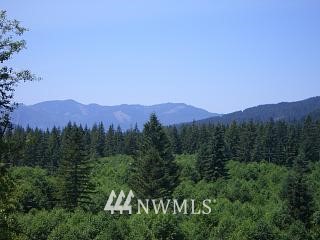 200 Shady Crk Road Amboy, WA 98601 - Photo 4 of 11 Gallery Image 4