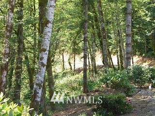 200 Shady Crk Road Amboy, WA 98601 - Photo 5 of 11 Gallery Image 5