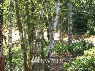 200 Shady Crk Road Amboy, WA 98601 - Photo 6 of 11 Gallery Image 6