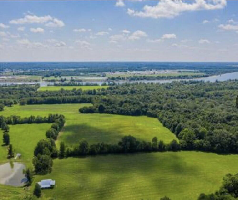 0 Haddock Ferry Road Smithland, KY 42081 - Photo 9 of 13 Gallery Image 9