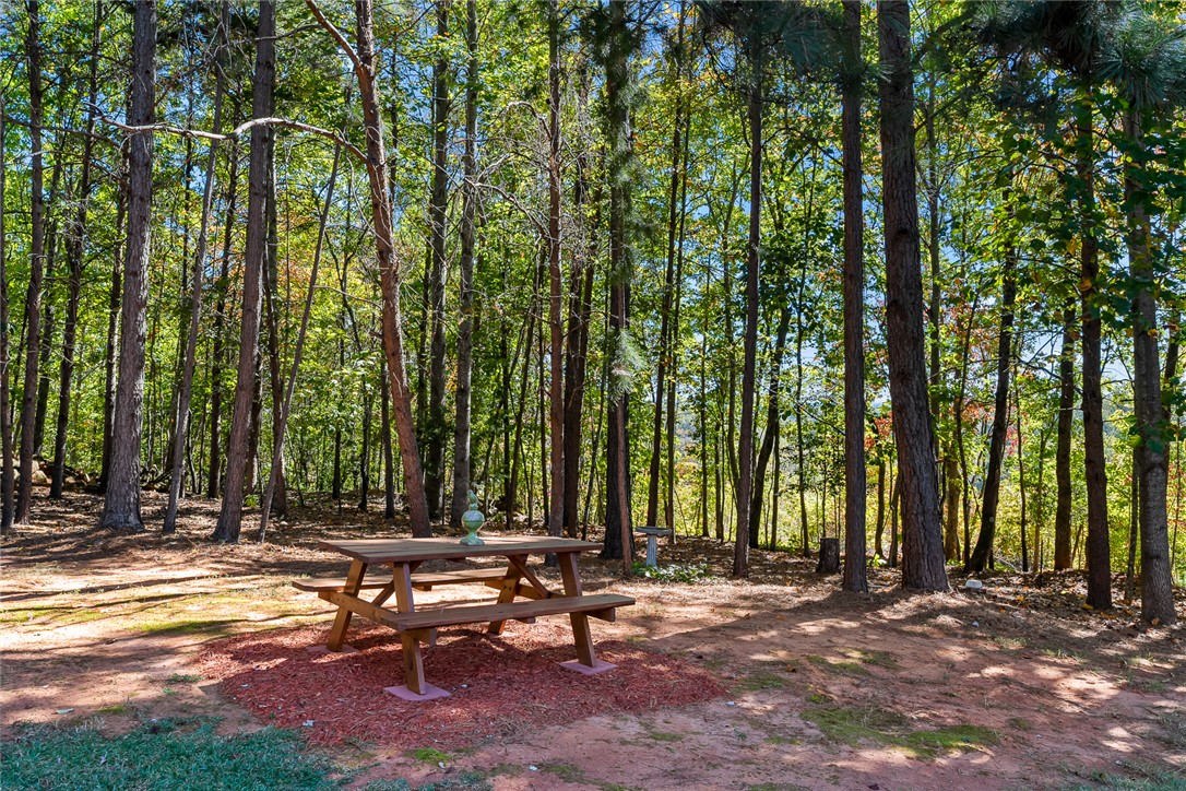 119 Devon Court Easley, SC 29640 - Photo 34 of 42