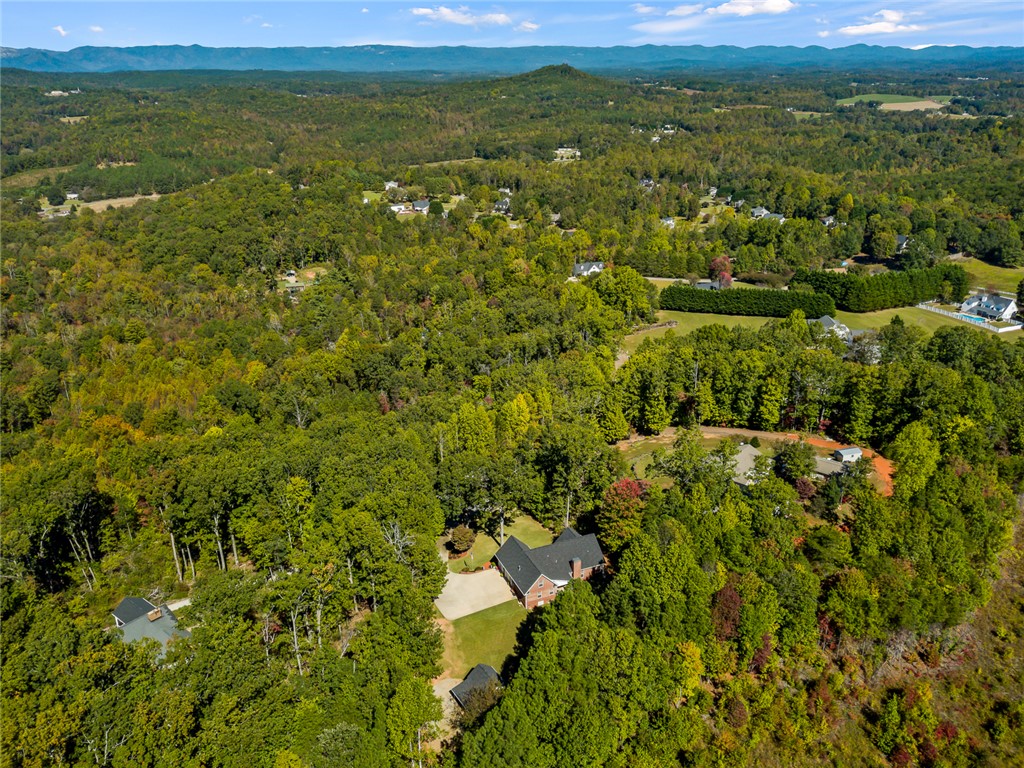 119 Devon Court Easley, SC 29640 - Photo 40 of 42