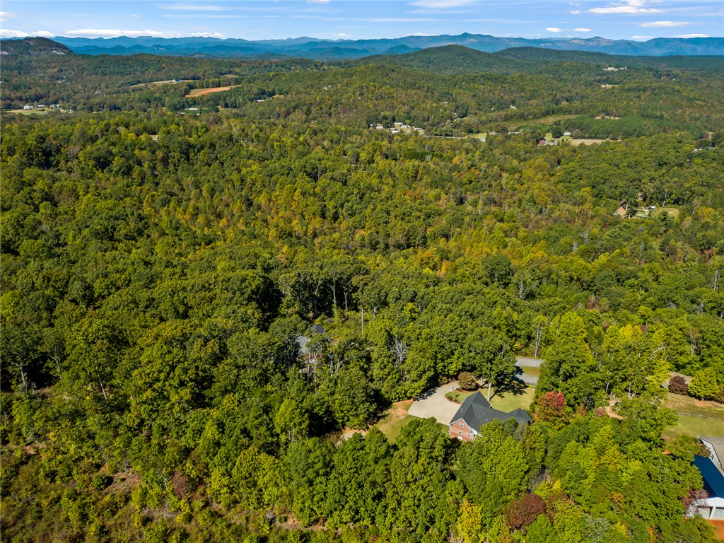 119 Devon Court Easley, SC 29640 - Photo 41 of 42