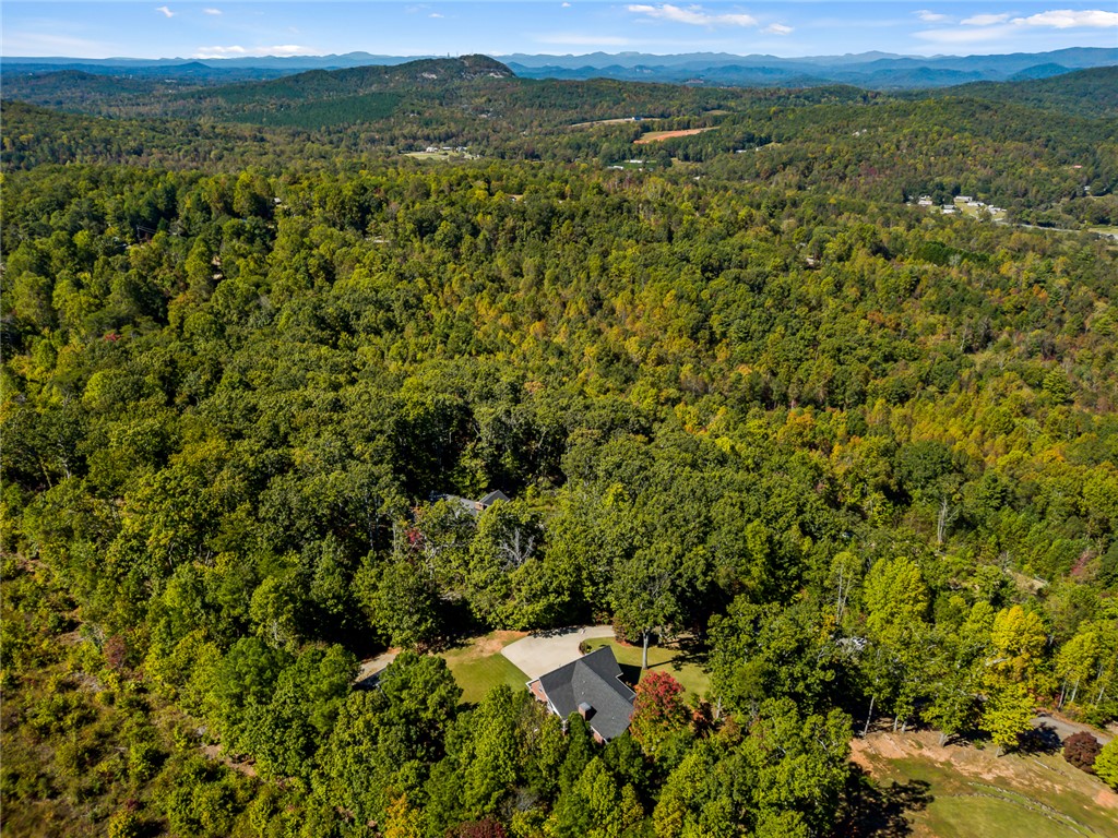 119 Devon Court Easley, SC 29640 - Photo 42 of 42