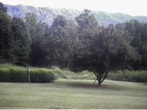 812 Ridgefields Road Kingsport, TN 37660 - Photo 18 of 19 Wonderful View