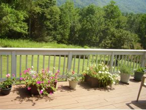 812 Ridgefields Road Kingsport, TN 37660 - Photo 5 of 19 View from Deck