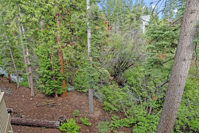 a view of a garden with plants