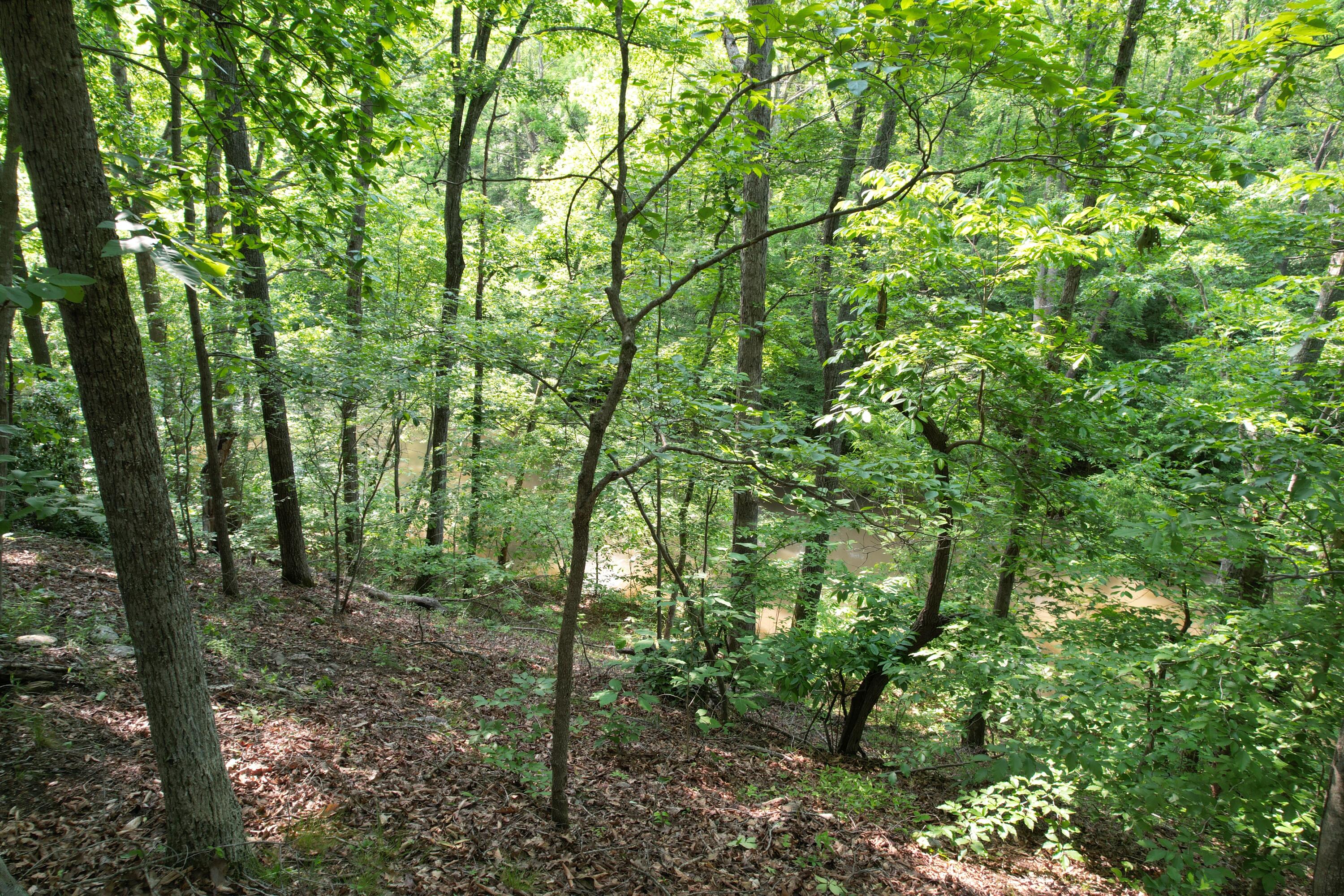 250 Knoll Ridge Lane Rocky Mount, VA 24151 - Photo 101 of 122 DJI_0528