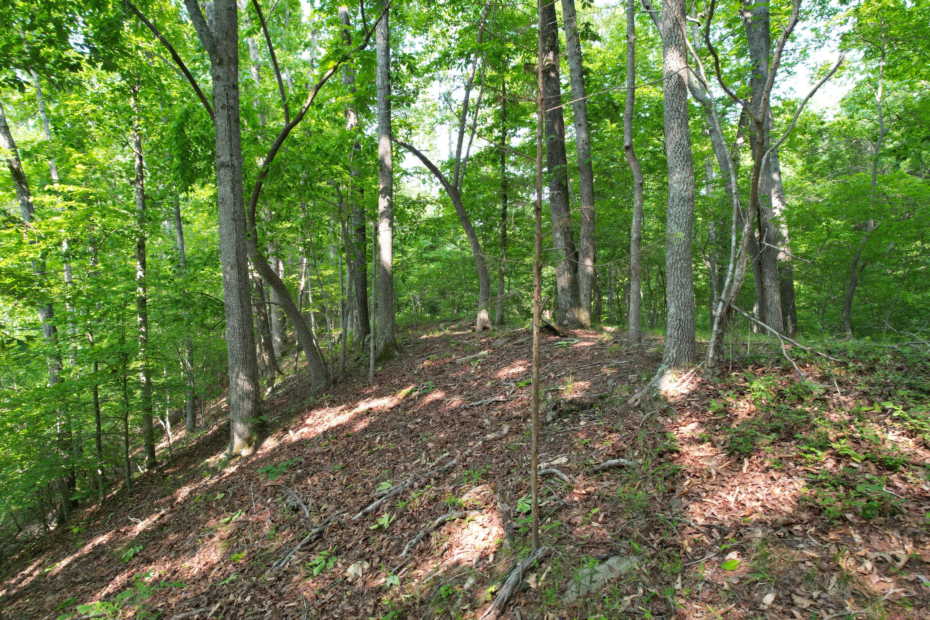 250 Knoll Ridge Lane Rocky Mount, VA 24151 - Photo 102 of 122 DJI_0529