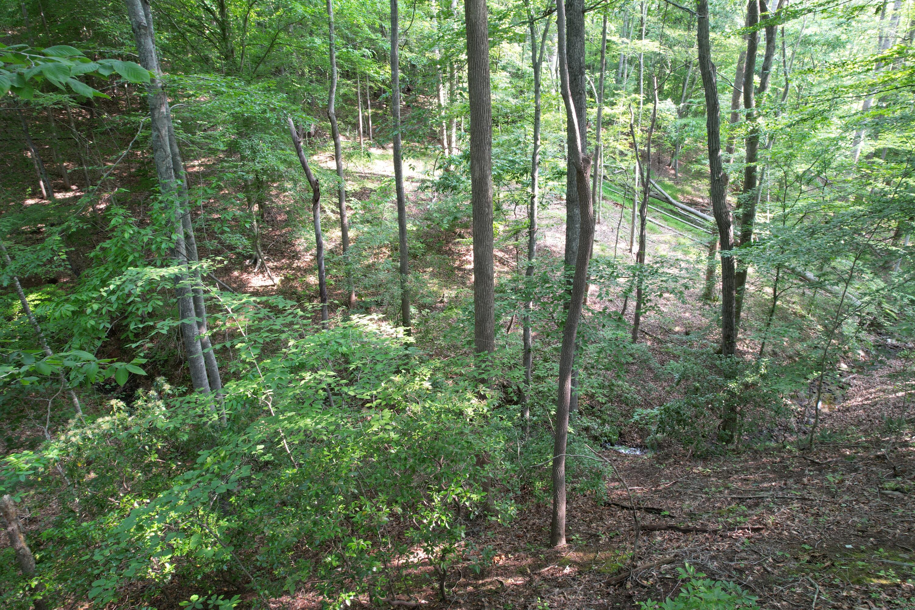 250 Knoll Ridge Lane Rocky Mount, VA 24151 - Photo 103 of 122 DJI_0530