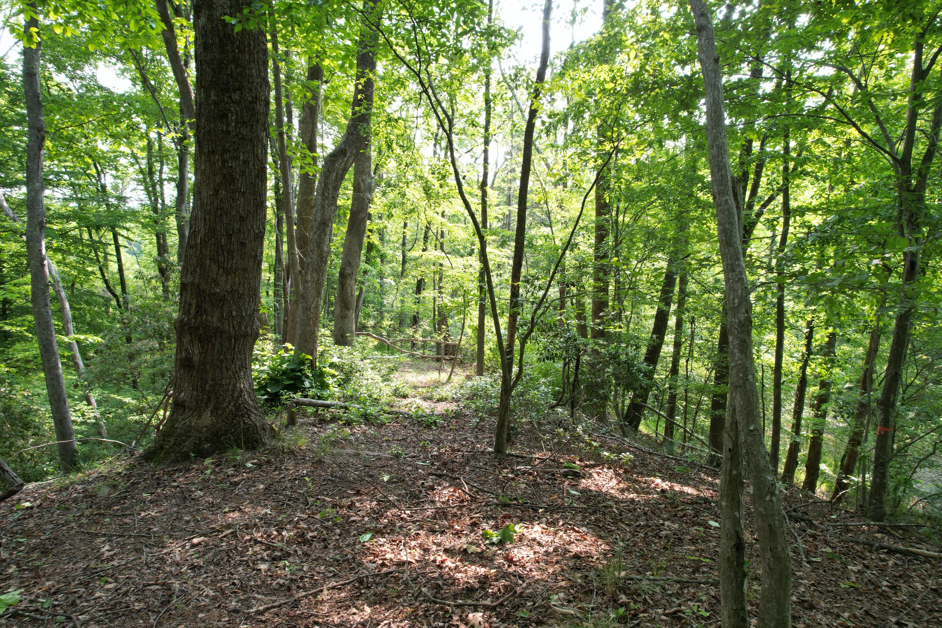 250 Knoll Ridge Lane Rocky Mount, VA 24151 - Photo 104 of 122 DJI_0531