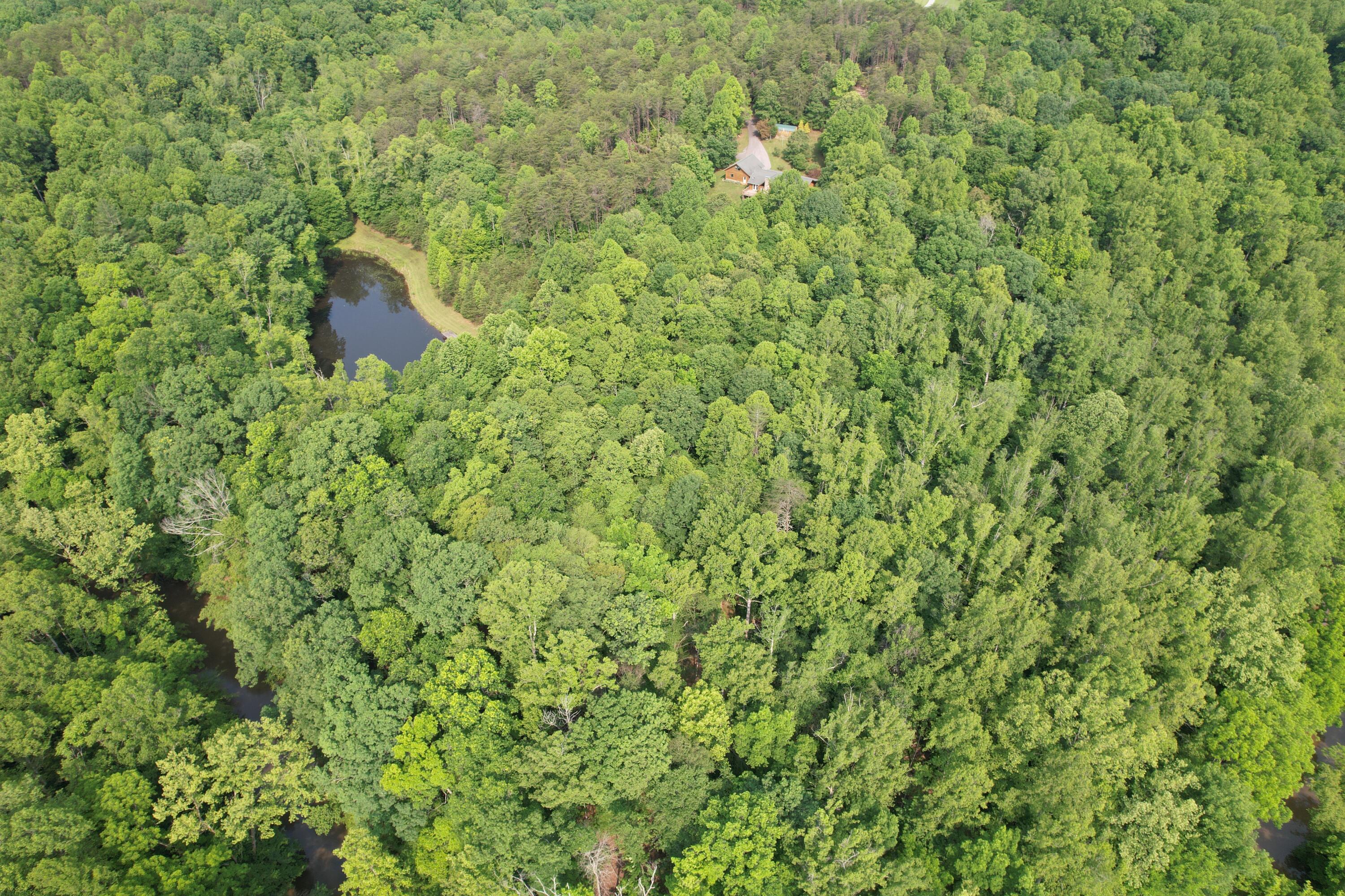 250 Knoll Ridge Lane Rocky Mount, VA 24151 - Photo 106 of 122 DJI_0533