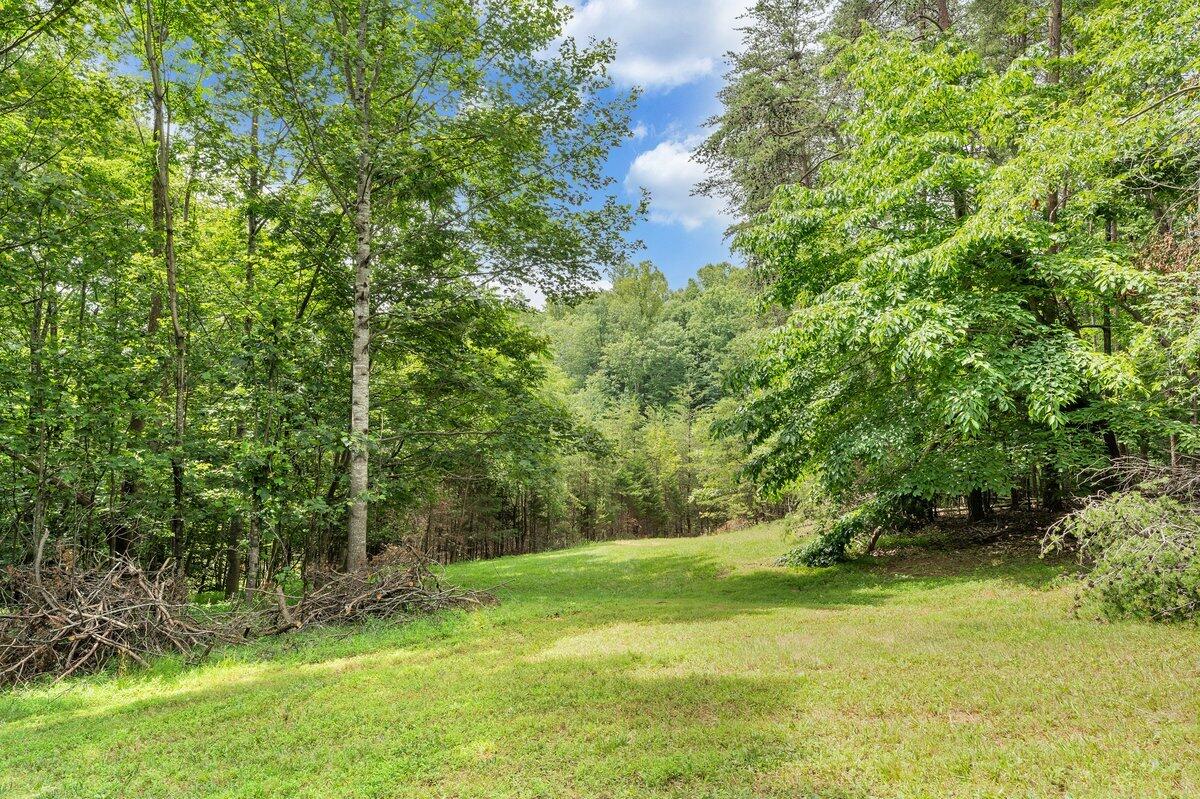 250 Knoll Ridge Lane Rocky Mount, VA 24151 - Photo 116 of 122 MIB06791