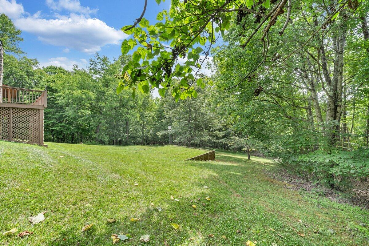 250 Knoll Ridge Lane Rocky Mount, VA 24151 - Photo 118 of 122 MIB06767