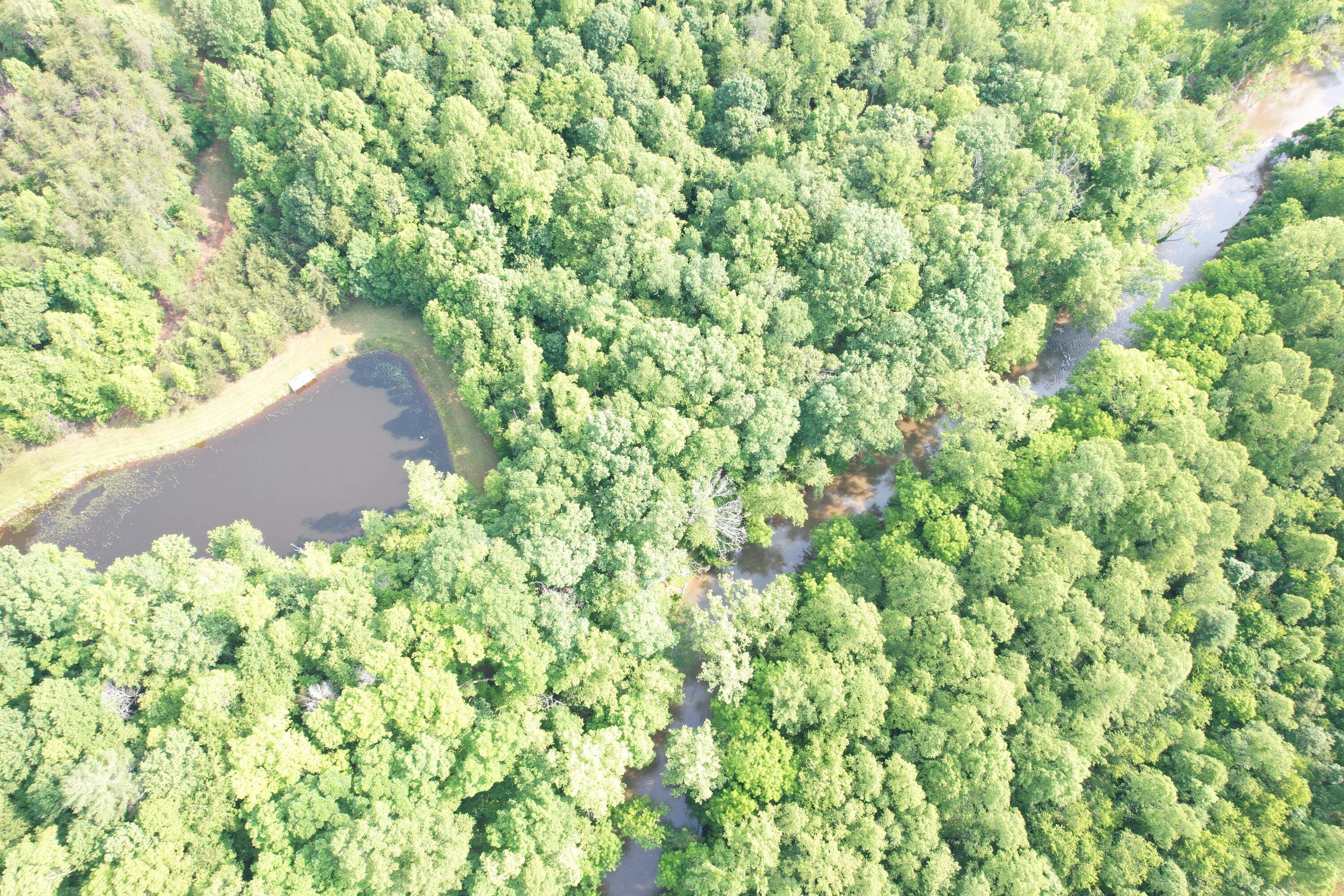 250 Knoll Ridge Lane Rocky Mount, VA 24151 - Photo 18 of 122 DJI_0499