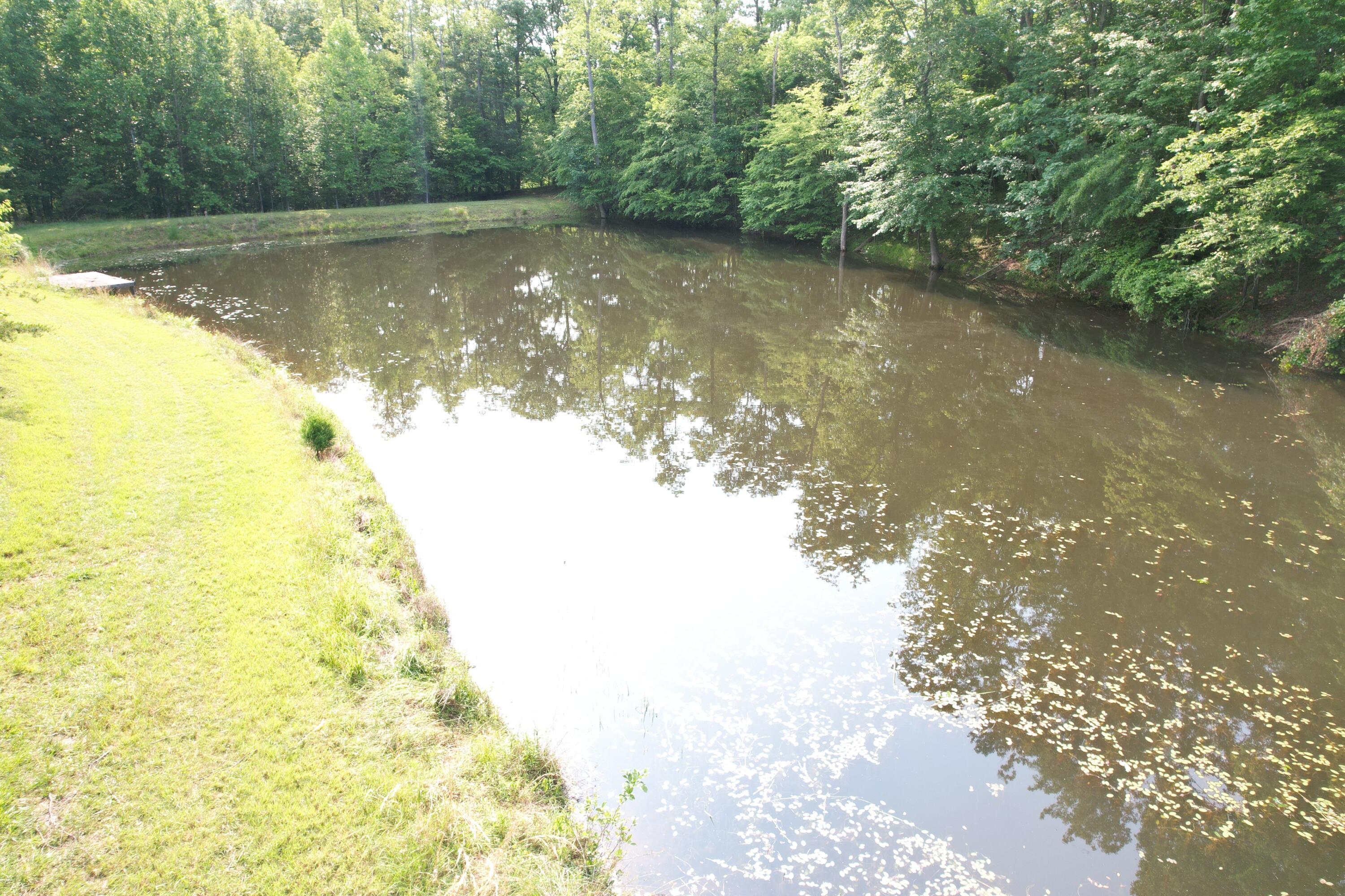 250 Knoll Ridge Lane Rocky Mount, VA 24151 - Photo 84 of 122 DJI_0504