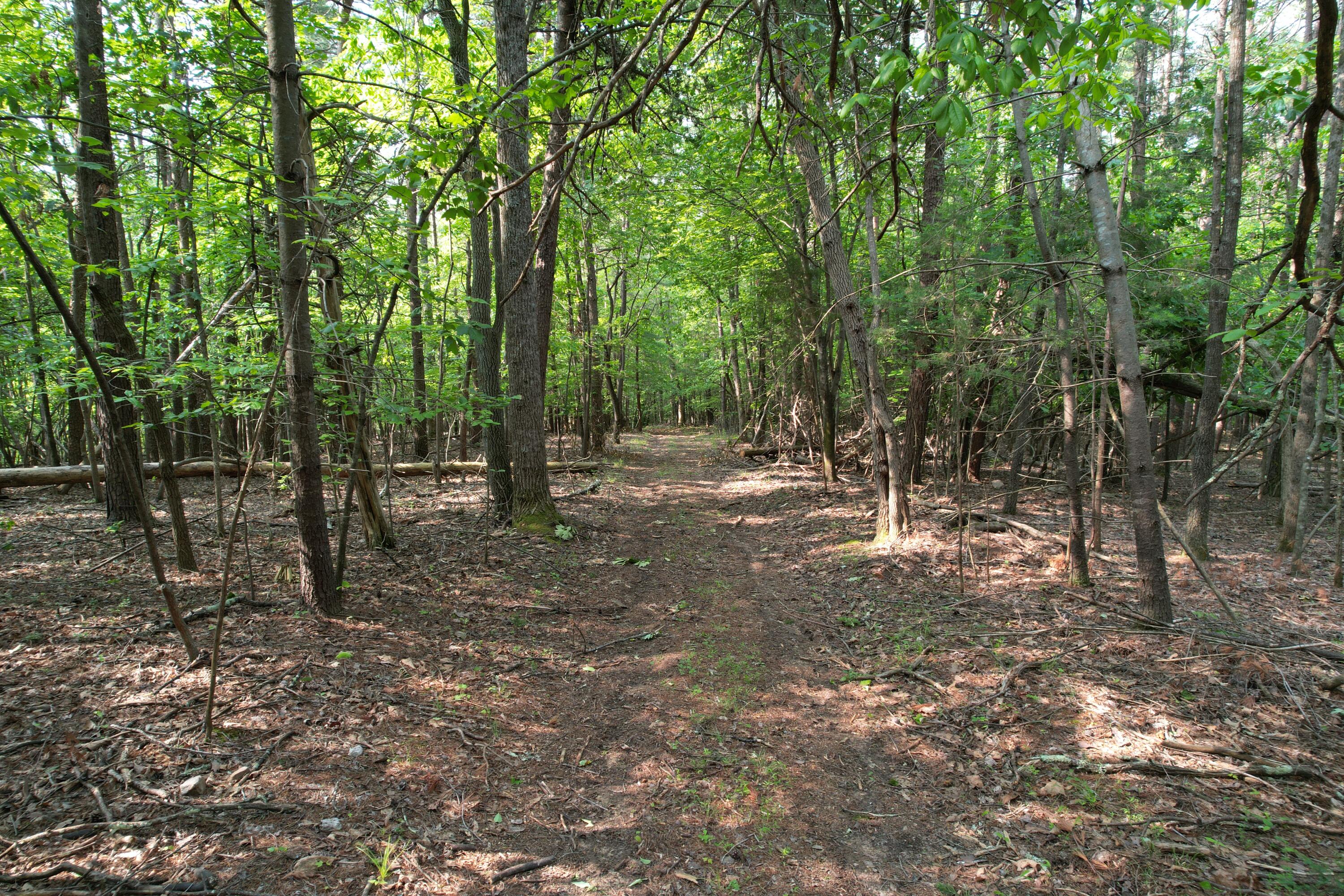 250 Knoll Ridge Lane Rocky Mount, VA 24151 - Photo 92 of 122 DJI_0514