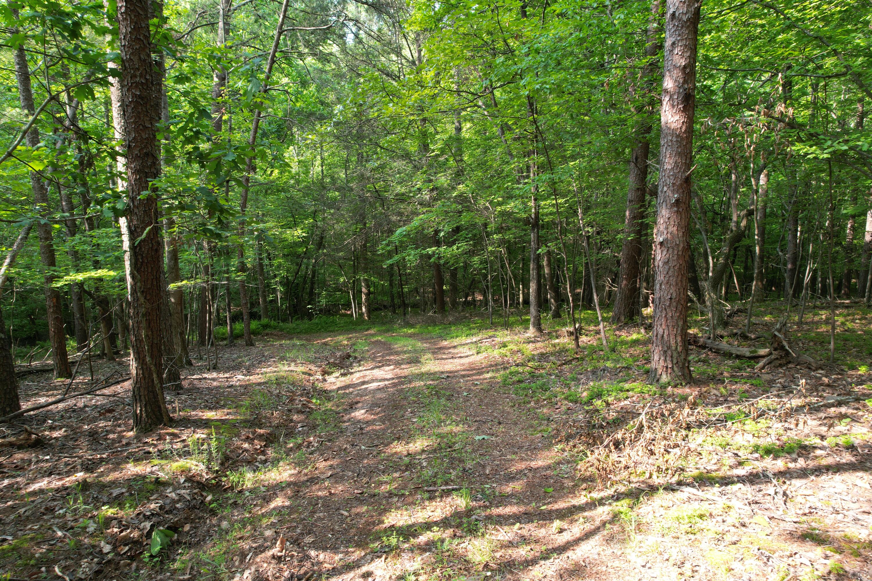 250 Knoll Ridge Lane Rocky Mount, VA 24151 - Photo 93 of 122 DJI_0516