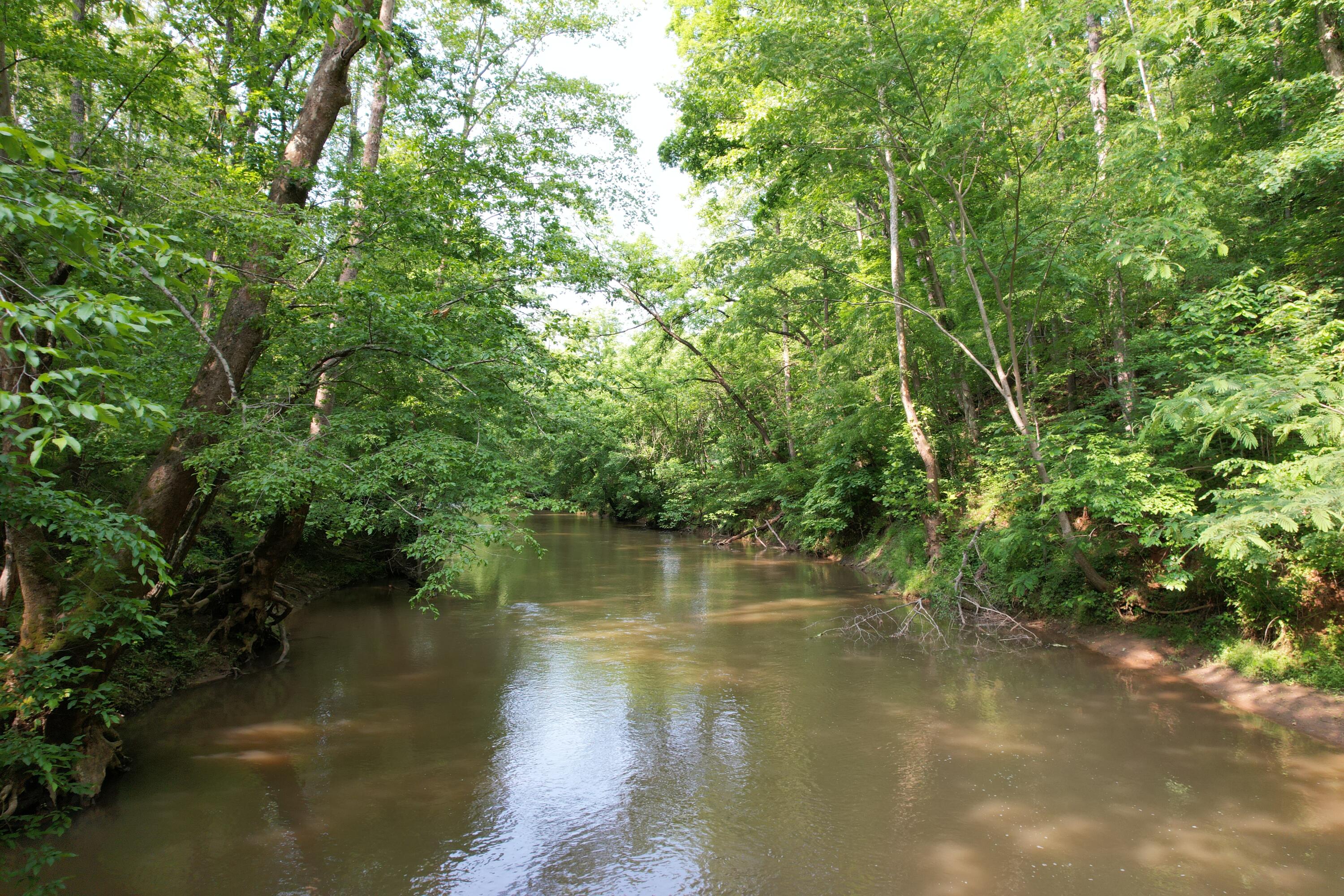 250 Knoll Ridge Lane Rocky Mount, VA 24151 - Photo 99 of 122 DJI_0526