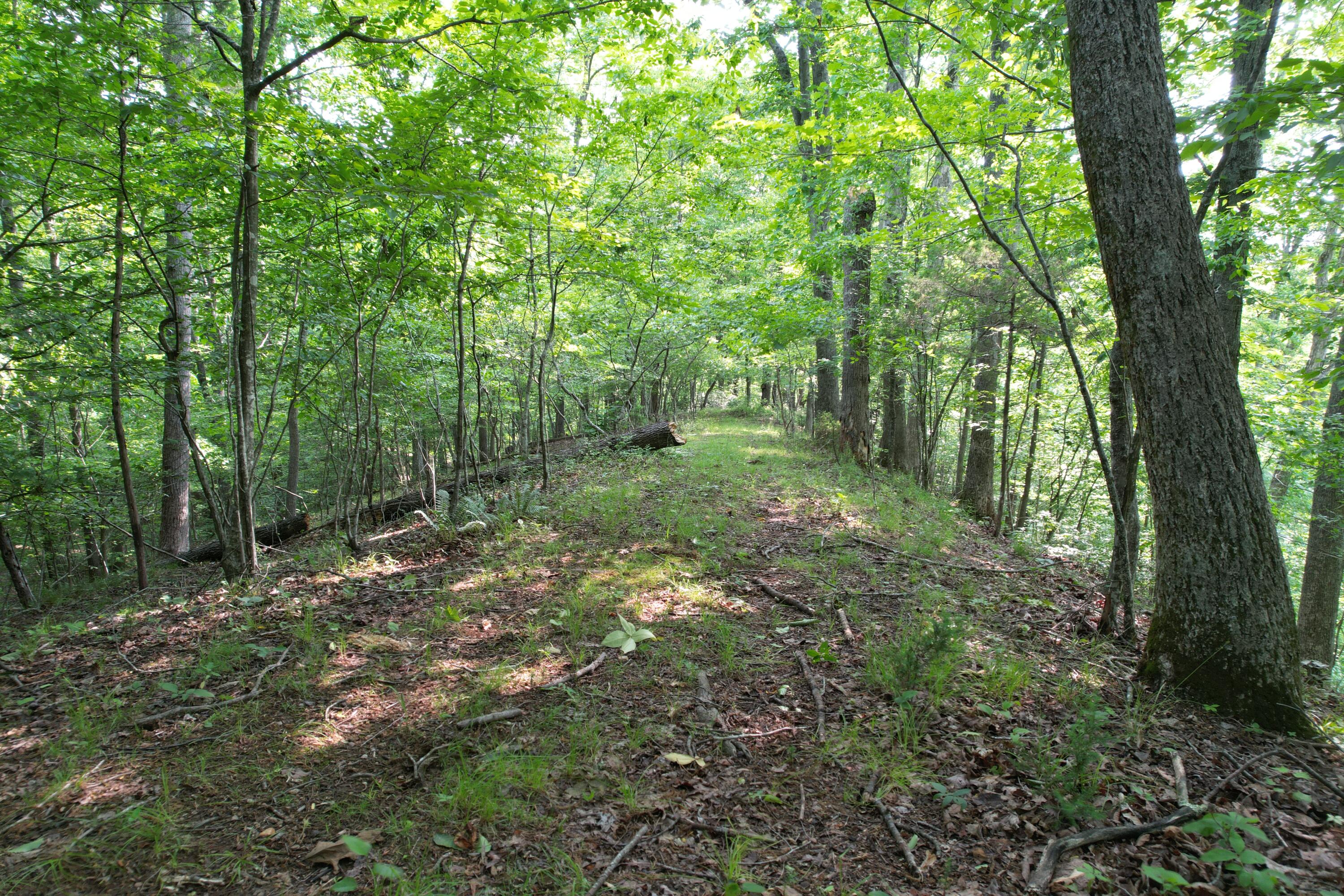 250 Knoll Ridge Lane Rocky Mount, VA 24151 - Photo 100 of 122 DJI_0527