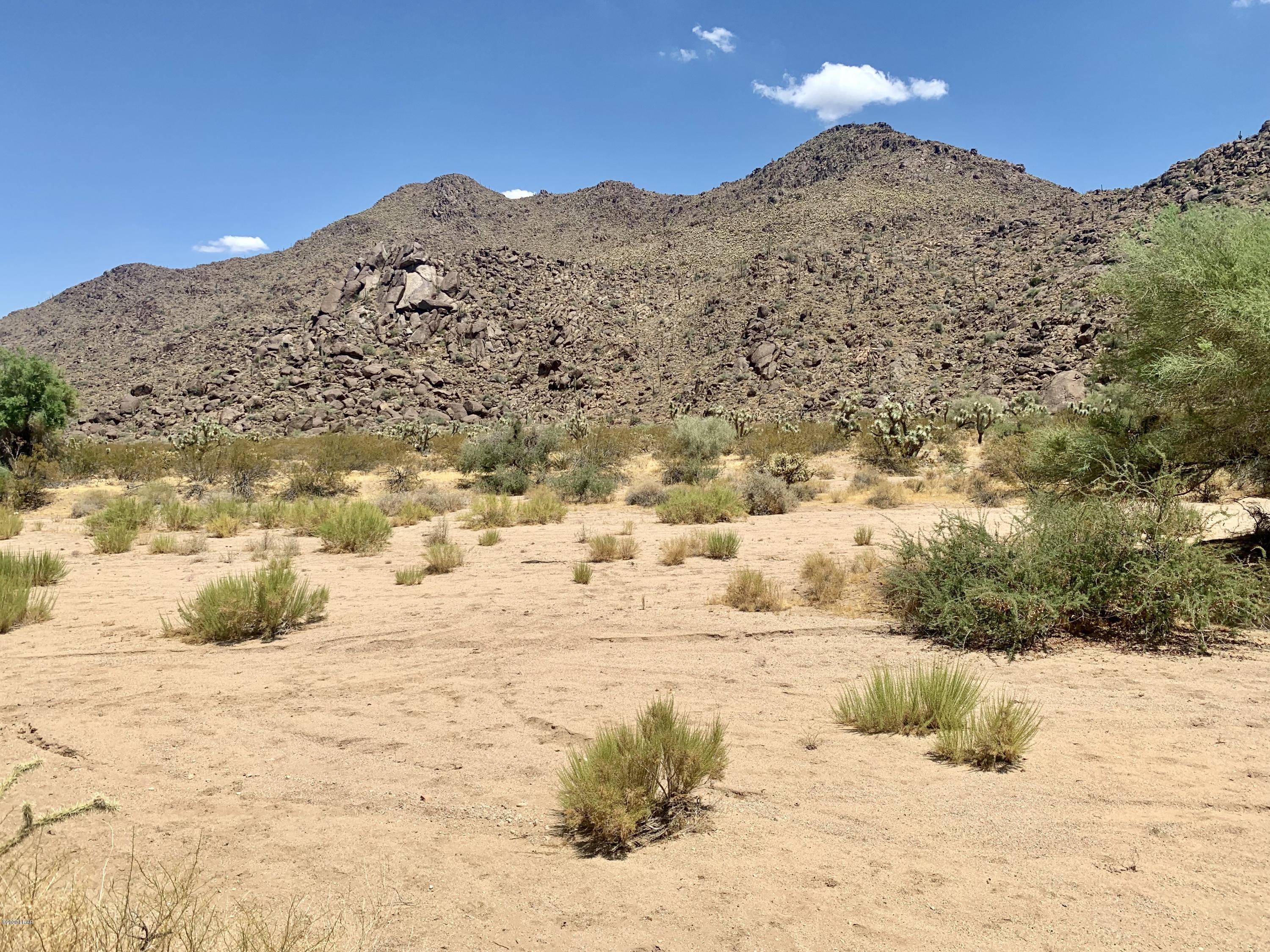 863 Alamo Road Yucca, AZ 86438 - Photo 15 of 21 627F2D72-D9F3-4A04-BE57-C273DFB5E562